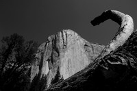 MeetElCapitan